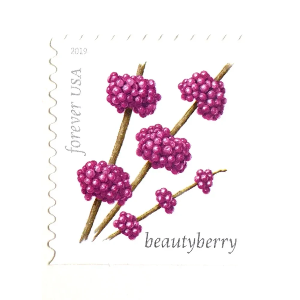(2019) USPS Winter Berries First Class Forever Postage Stamps