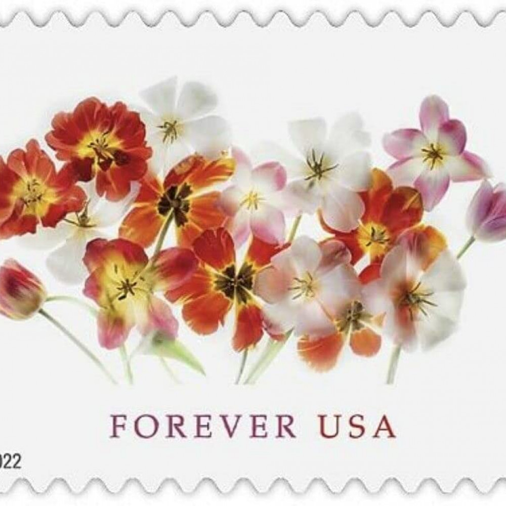 (2022) USPS Tulips Forever First Class Postage Stamps
