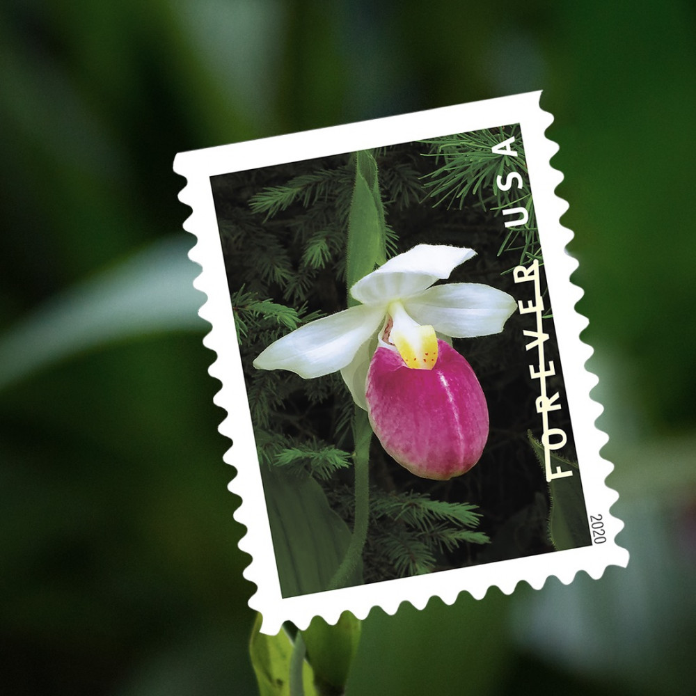 (2020) USPS Wild Orchids Forever Postage Stamps