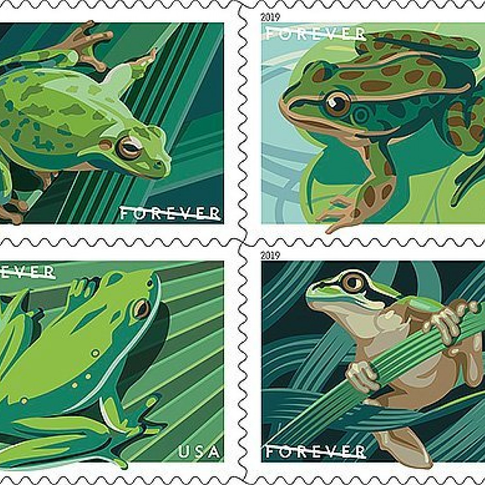 (2019) USPS Frogs Forever First Class Postage Stamps